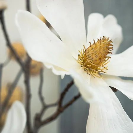 423 - Penthouse Centrum Near Area * マイヤーホーフェン