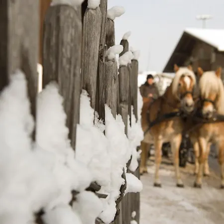 423 - Penthouse Centrum Near Area Lejlighed *